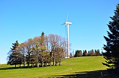Windgenerator auf Mont-Soleil