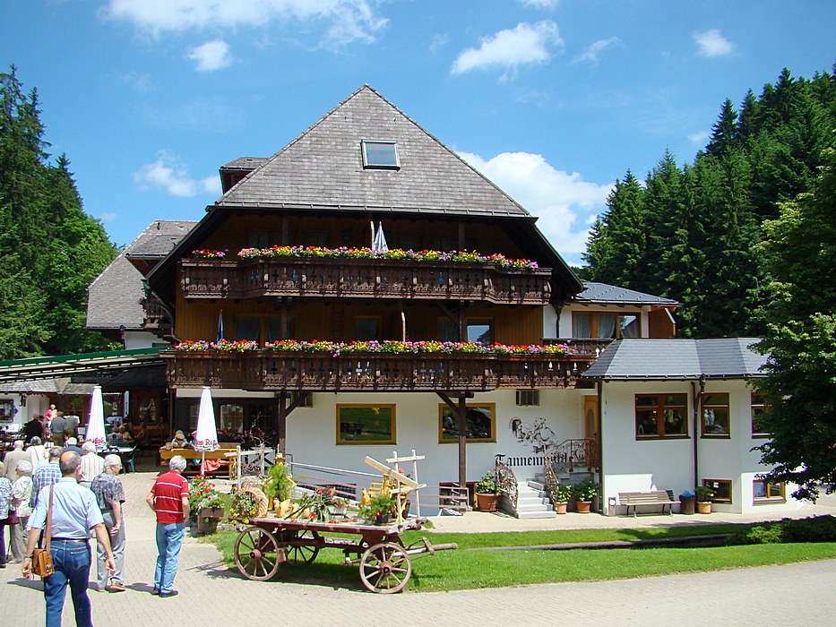 Hotel Tannenmühle Grafenhausen