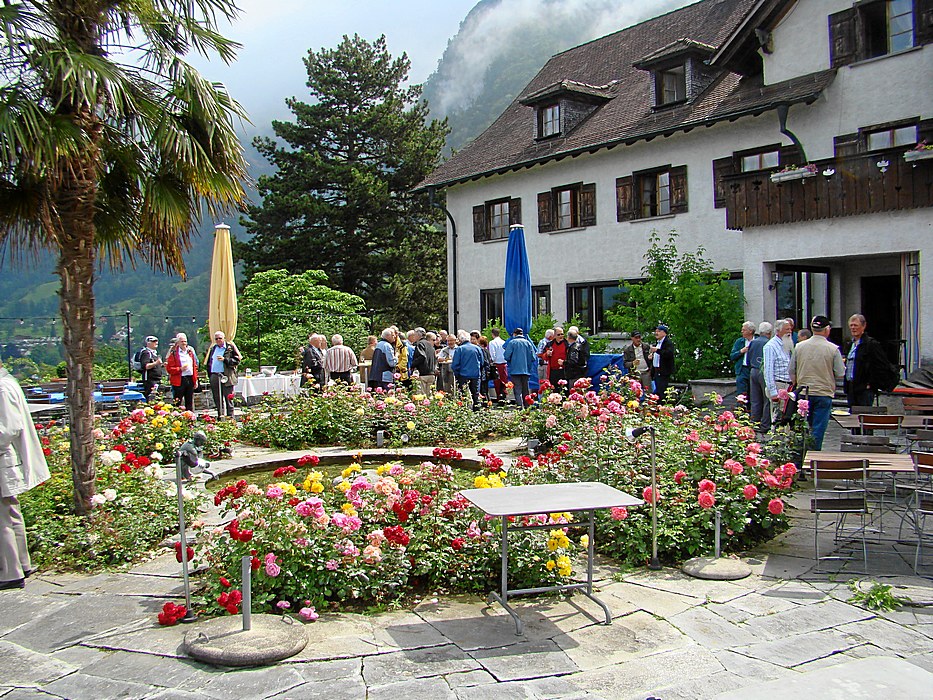 Terrasse des Hotels Flora Alpina in Vitznau